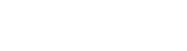 Чинсан Академи